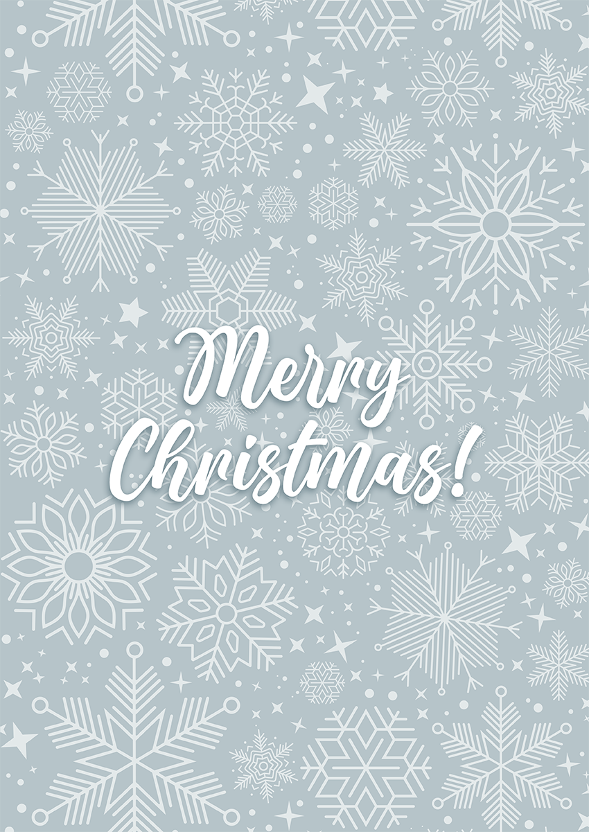Goofcat Greetings - Merry Christmas Merry Christmas Christmas Card