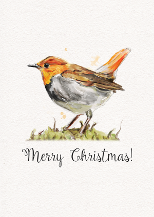 Christmas Robin Christmas Card