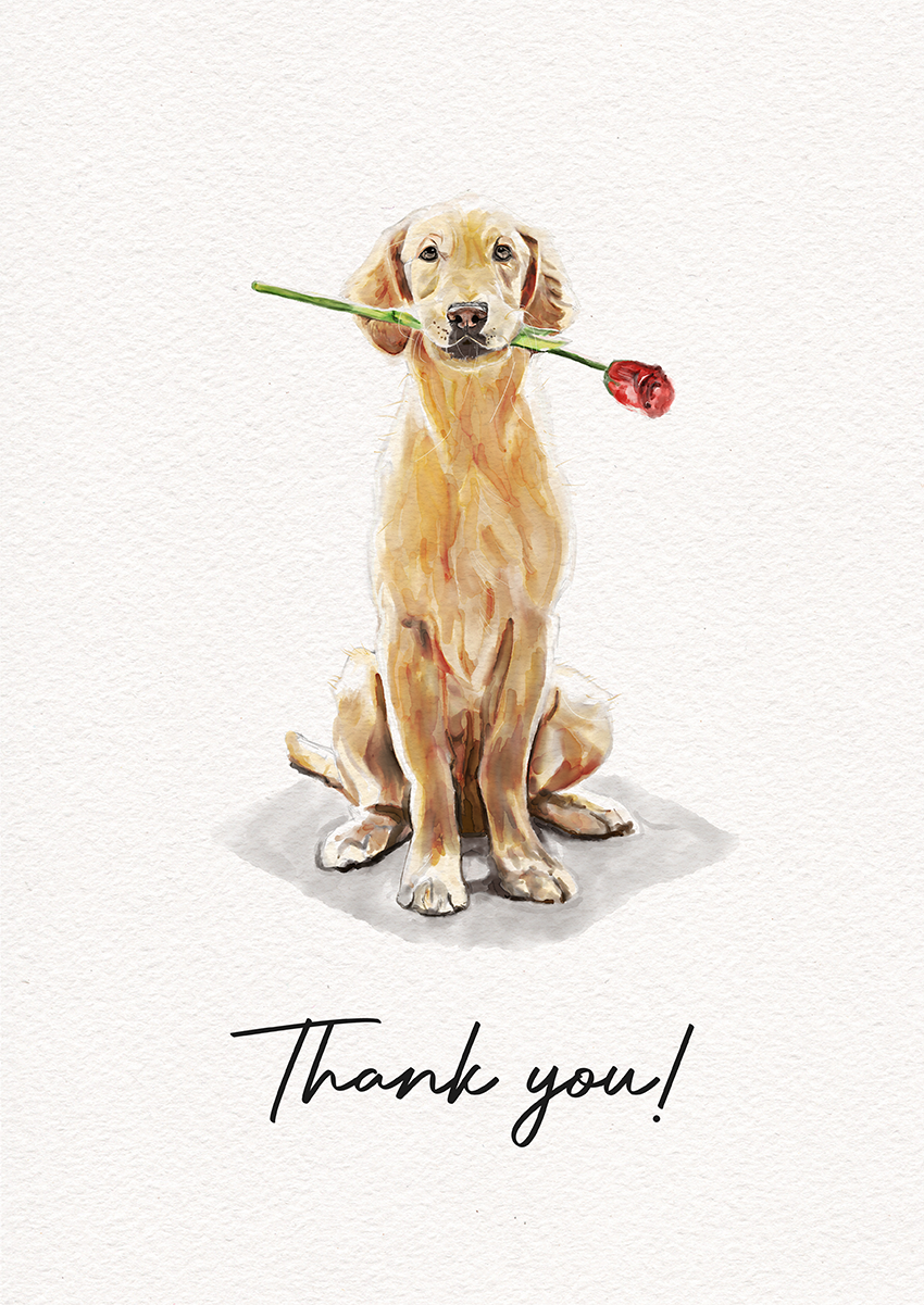 Goofcat Greetings - Golden Retriever Golden Retriever Thank You Card